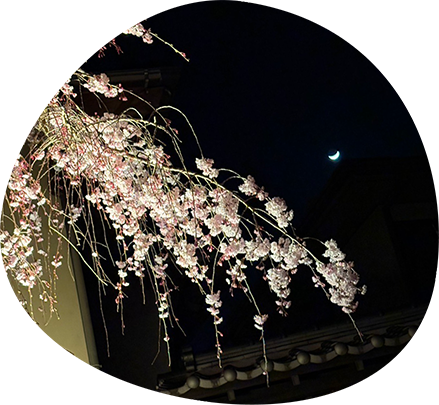 イメージ画像3